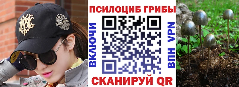 Галлюциногенные грибы Magic Shrooms  Купить где  Беломорск 
