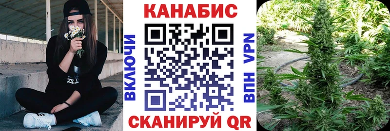 Бошки Шишки план Беломорск